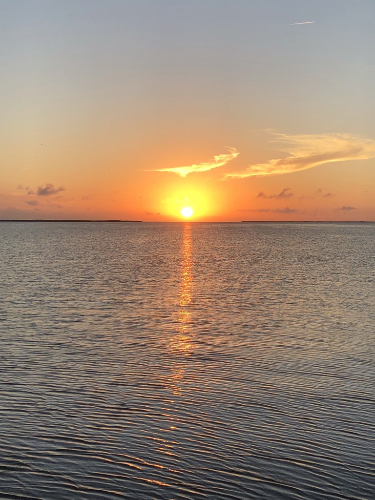 2C734B4B-1863-4A1E-938E-60BDD54255B2_1_105_c