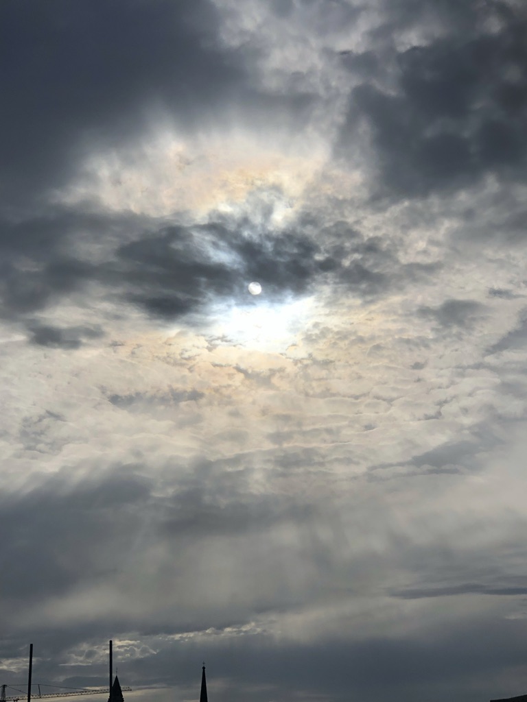 8D85BE90-17CD-4A26-A3C3-3C6879983C6B_1_105_c