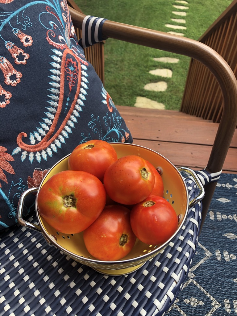 AEAF6BA7-1412-4BED-85B3-CE2AA6CF8E78_1_105_c