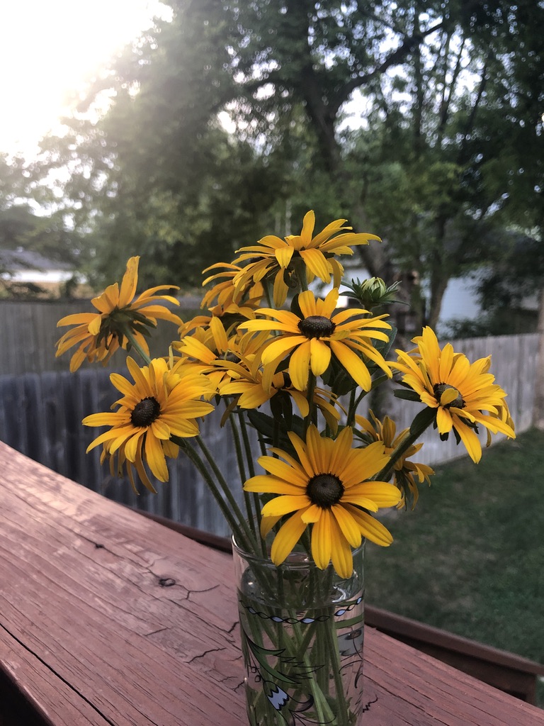 BBBEE6C7-0720-4327-BD55-421587594224_1_105_c